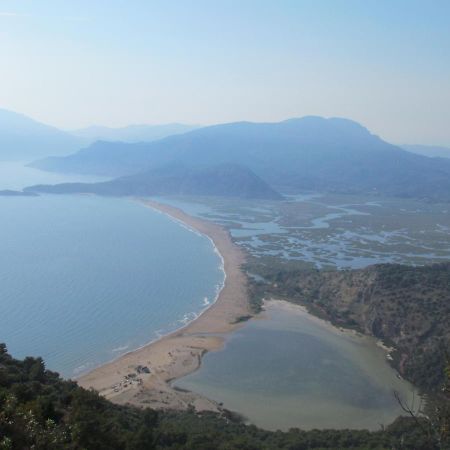 Dalyan Palmiye Resort Hotel المظهر الخارجي الصورة
