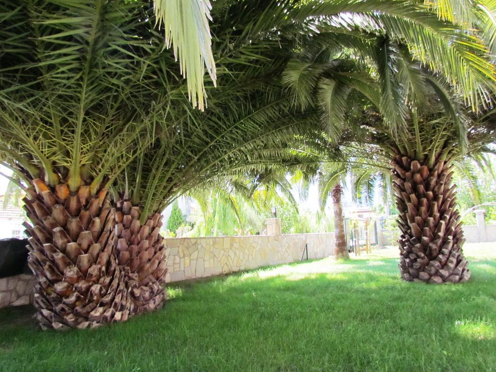 Dalyan Palmiye Resort Hotel المظهر الخارجي الصورة
