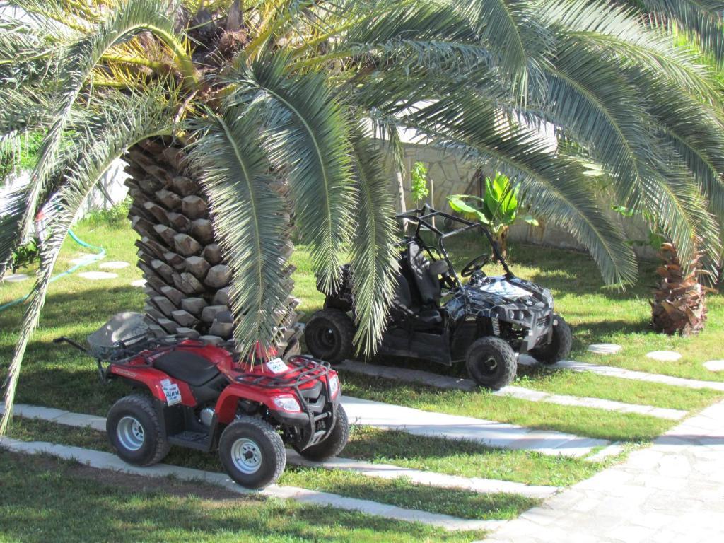 Dalyan Palmiye Resort Hotel المظهر الخارجي الصورة