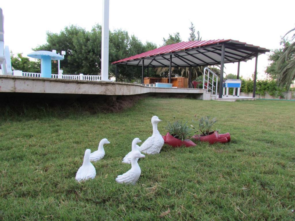 Dalyan Palmiye Resort Hotel المظهر الخارجي الصورة