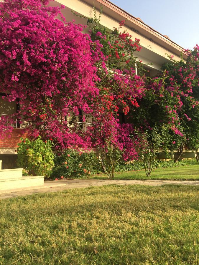 Dalyan Palmiye Resort Hotel المظهر الخارجي الصورة
